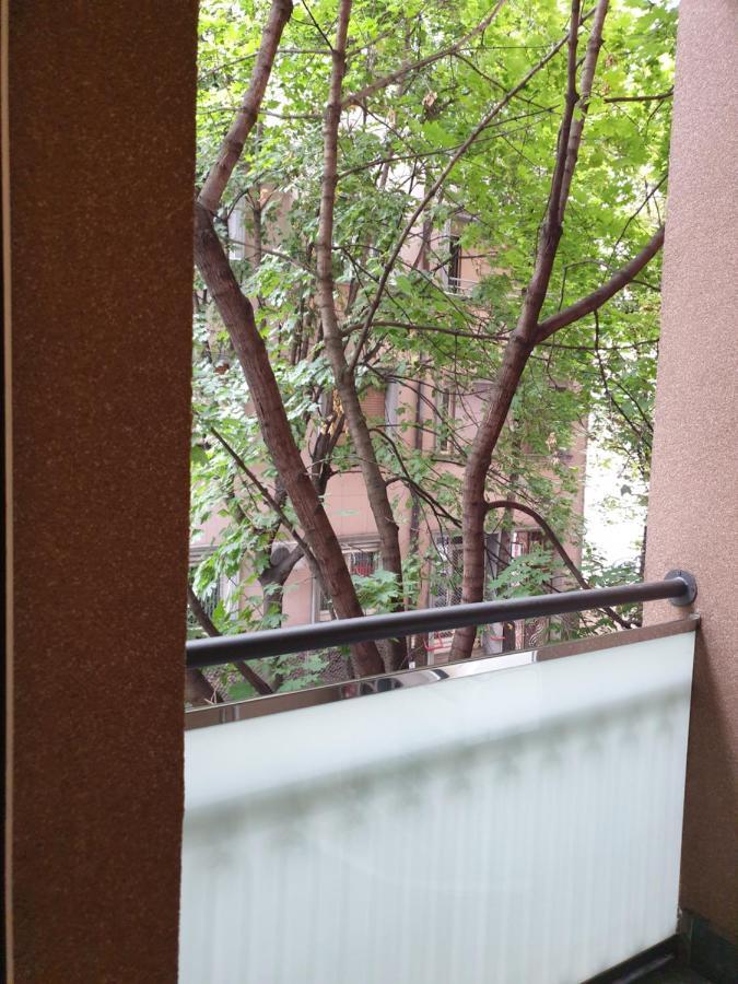 Metropol Lux Apartment Belgrade Vracar Екстер'єр фото